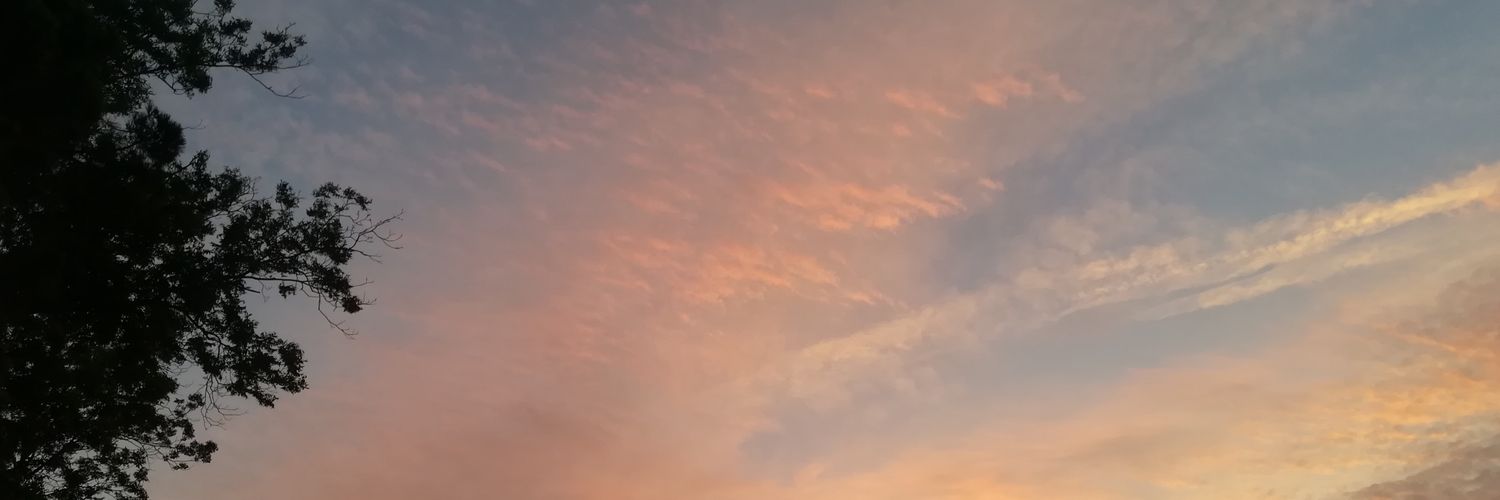 María✨ banner