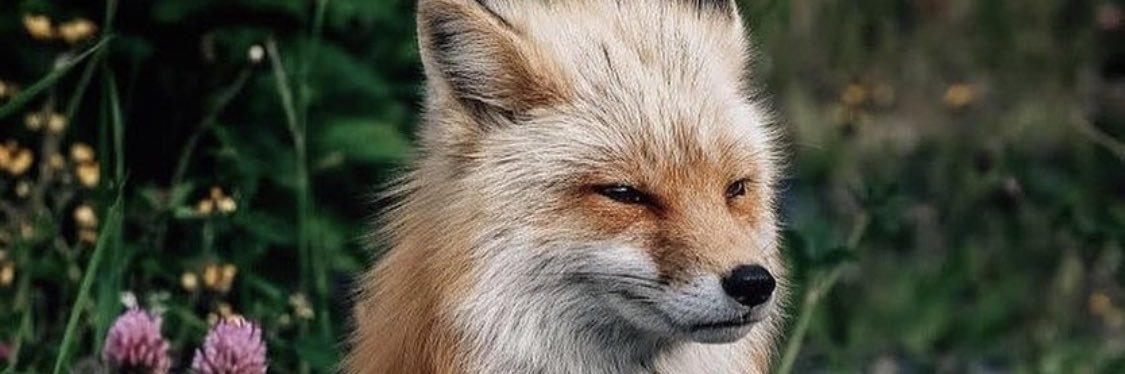 jshjames3's profile banner image