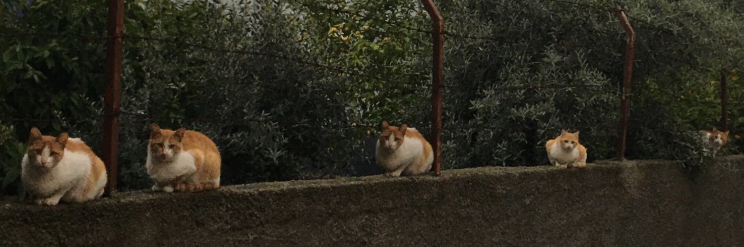 Meltemmg's profile banner image