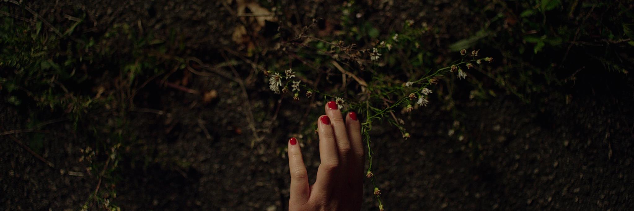 mmnemea's profile banner image
