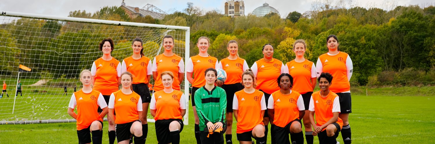 Alexandra Park WFC 👊⚽ banner
