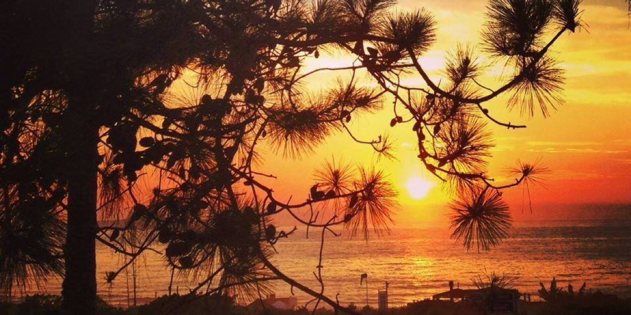 bru_janini's profile banner image