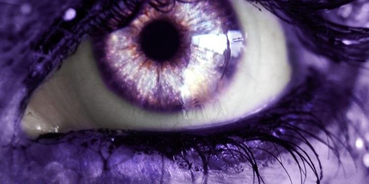 ElizabethTakacs's profile banner image