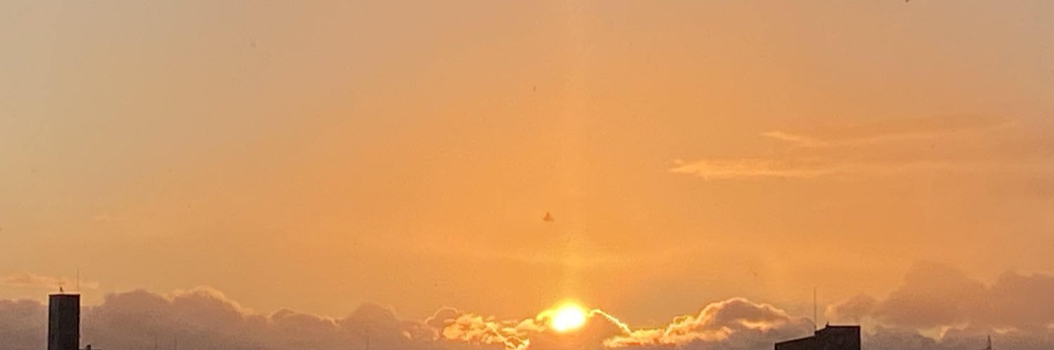 ladyaimi's profile banner image
