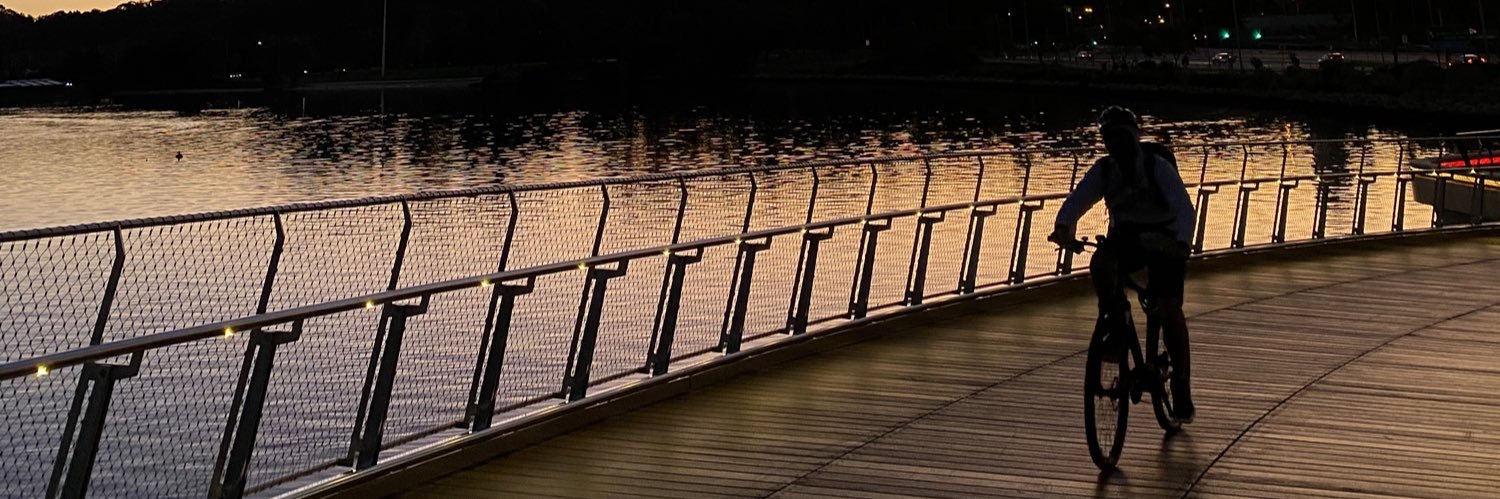 decolonize now! banner