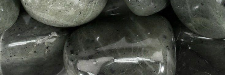 Little catto, banner