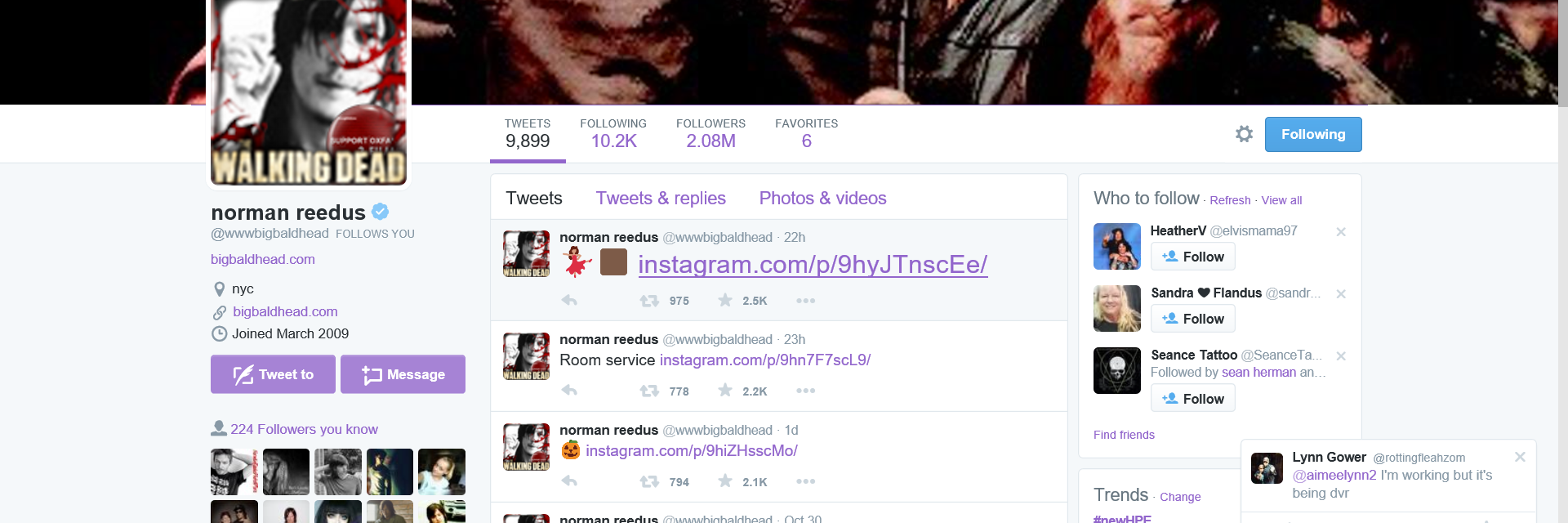 aimeelynn2's profile banner image