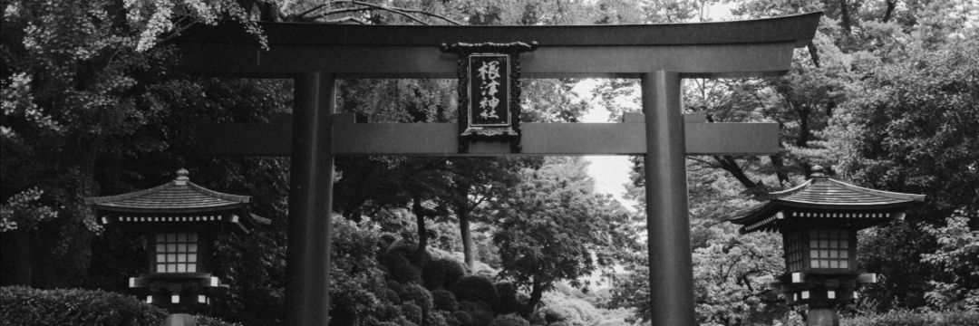wasaki07's profile banner image