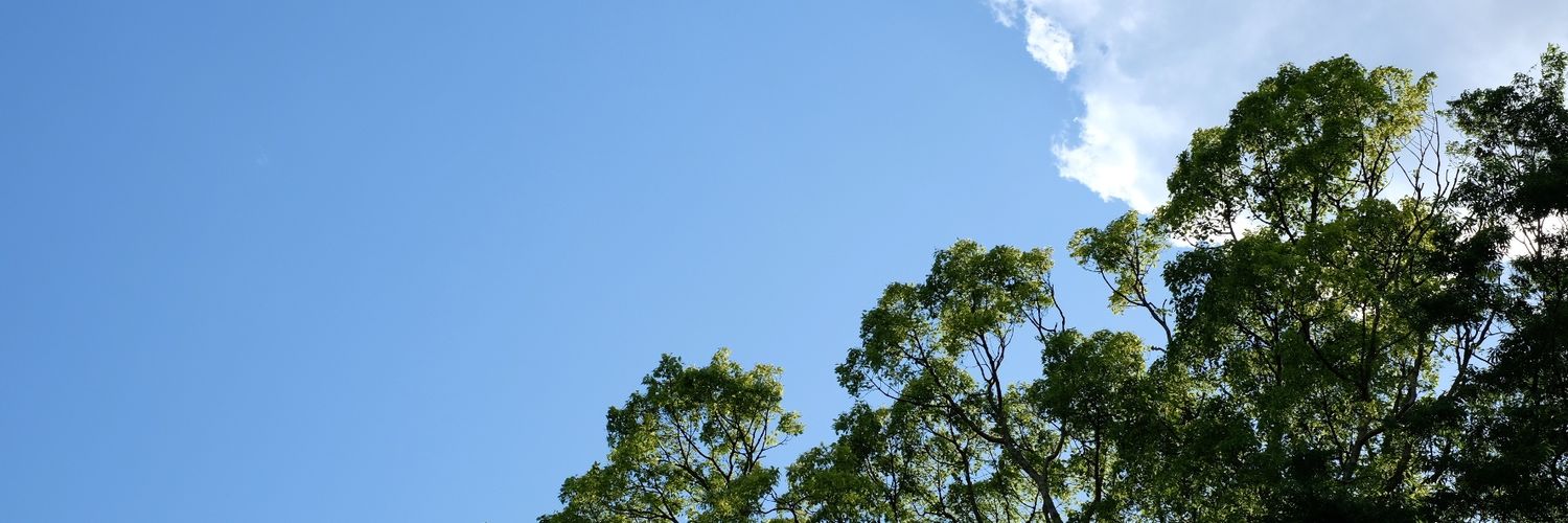 nemononegoto's profile banner image