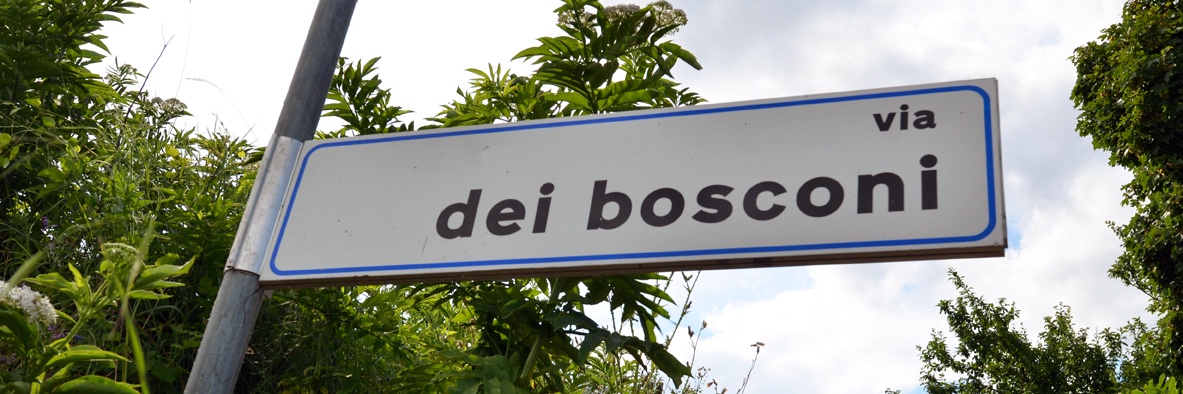 Fabio della Torre banner