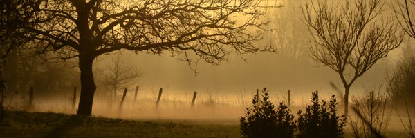 _GlinGlin Profile Banner