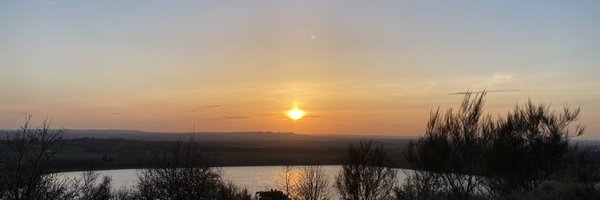 DhariniPatel Profile Banner