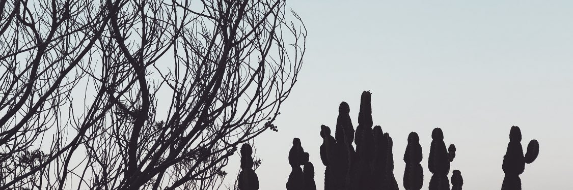 RaziaV_'s profile banner image