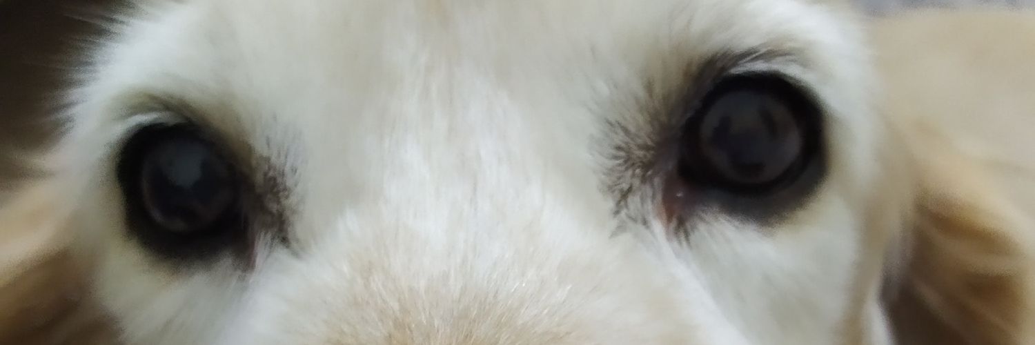 eleniks0's profile banner image