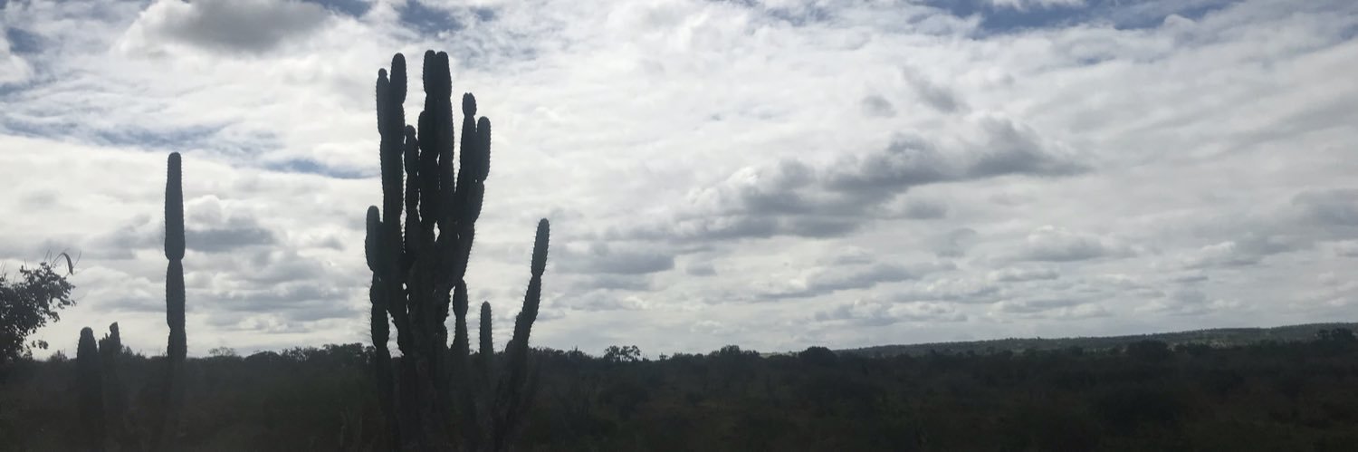 silvanacedraz🌵 banner
