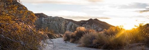 climbingdayz banner
