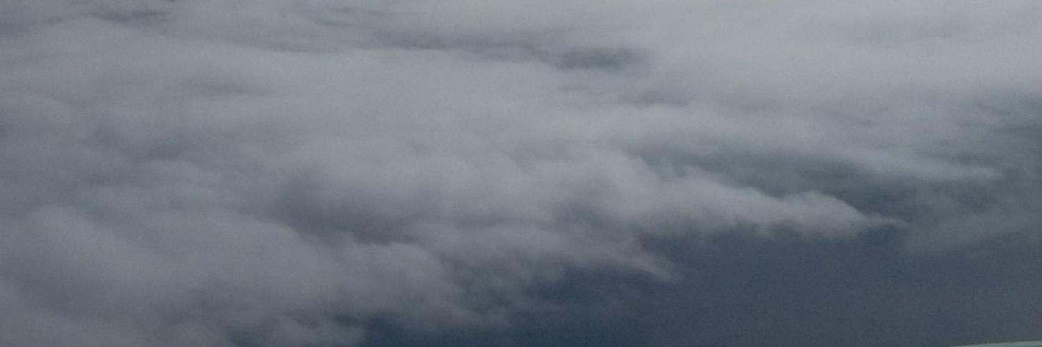 nvlrn's profile banner image
