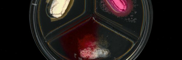 EachanJohnson Profile Banner