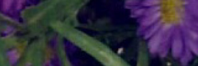 alh1391's profile banner image