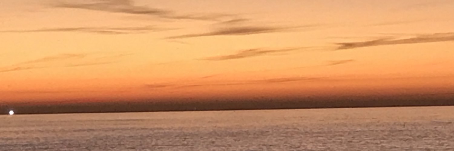 Louise Ashfold banner