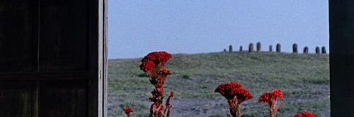 Han_simm's profile banner image