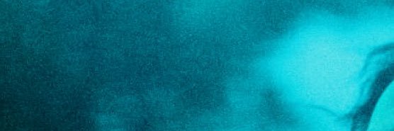 Rodrigo Davila banner