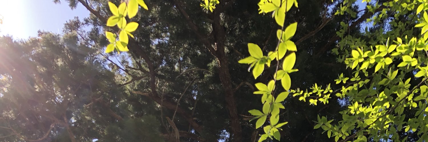 03AxI01's profile banner image