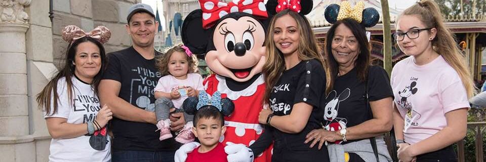 normathirlwall banner