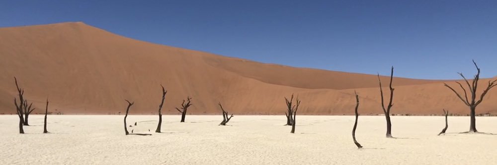 NomadicalNonRev's profile banner image