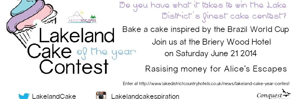 LakelandCake's profile banner image