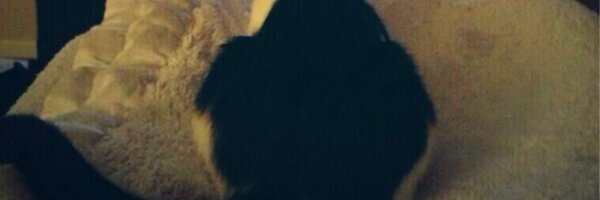 TaliMathewson Profile Banner