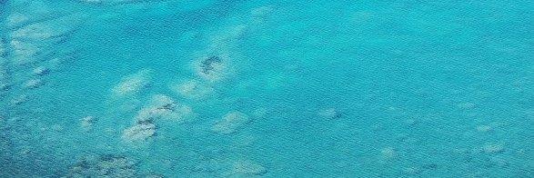 ネットミームでしか語れないという状況にならないよう注意が必要 banner