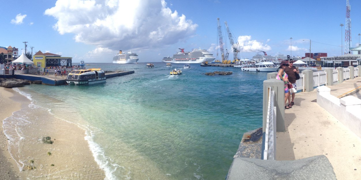 dianne trebble banner