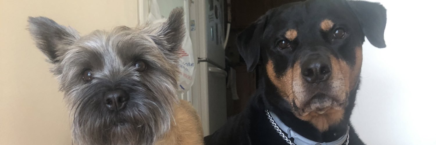 abbyszelong's profile banner image