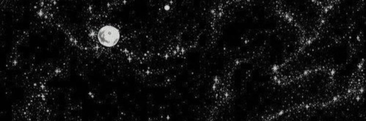 ThatWolfLady's profile banner image