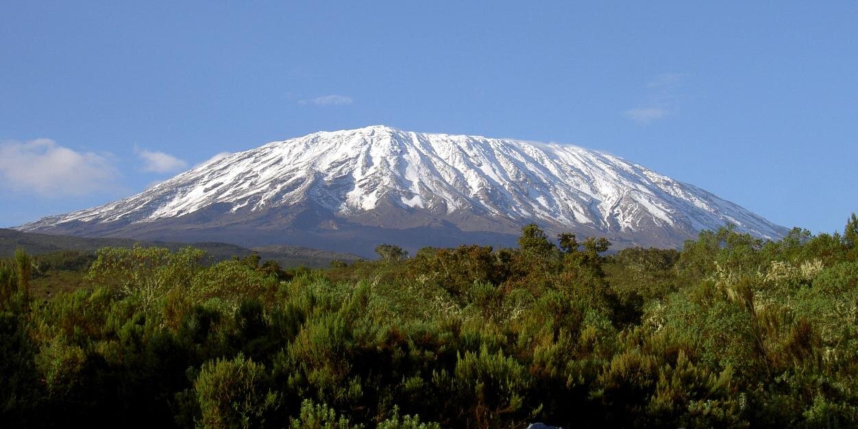 Outsider Insight (Neil G) banner