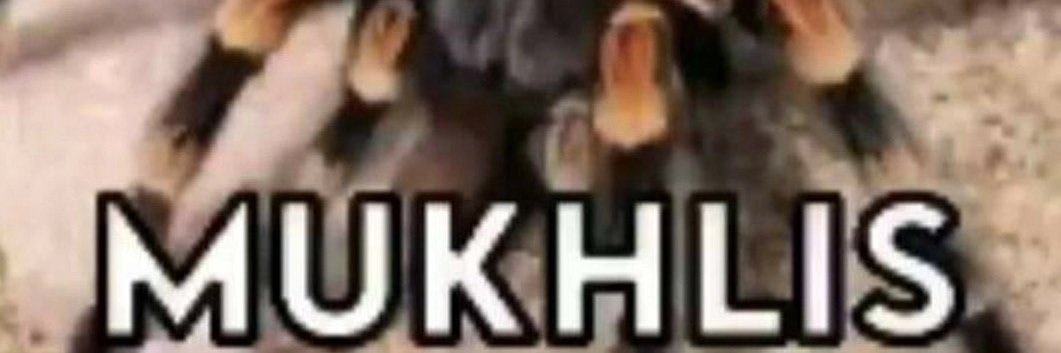 cikintruffle's profile banner image