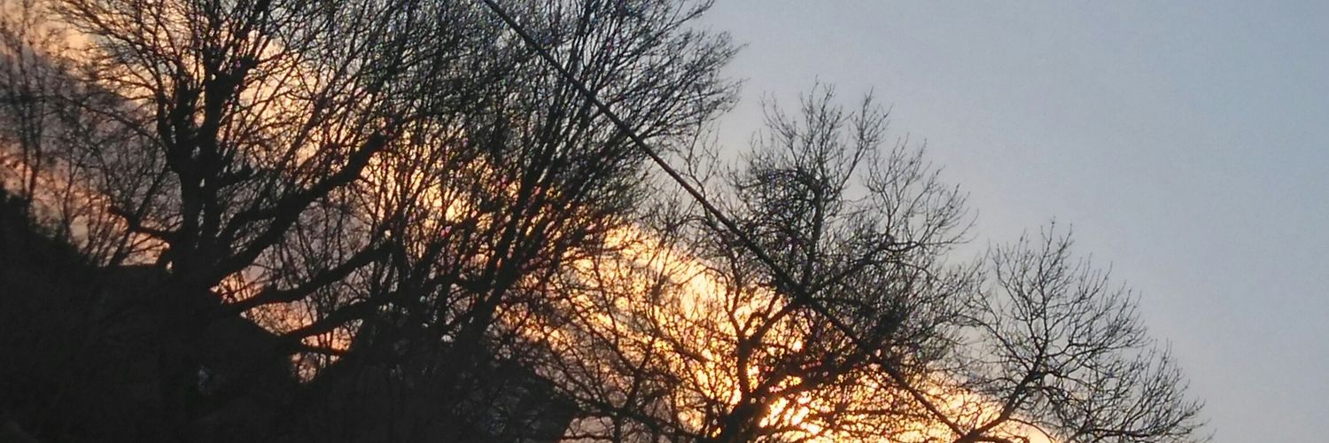 Rhona_B's profile banner image