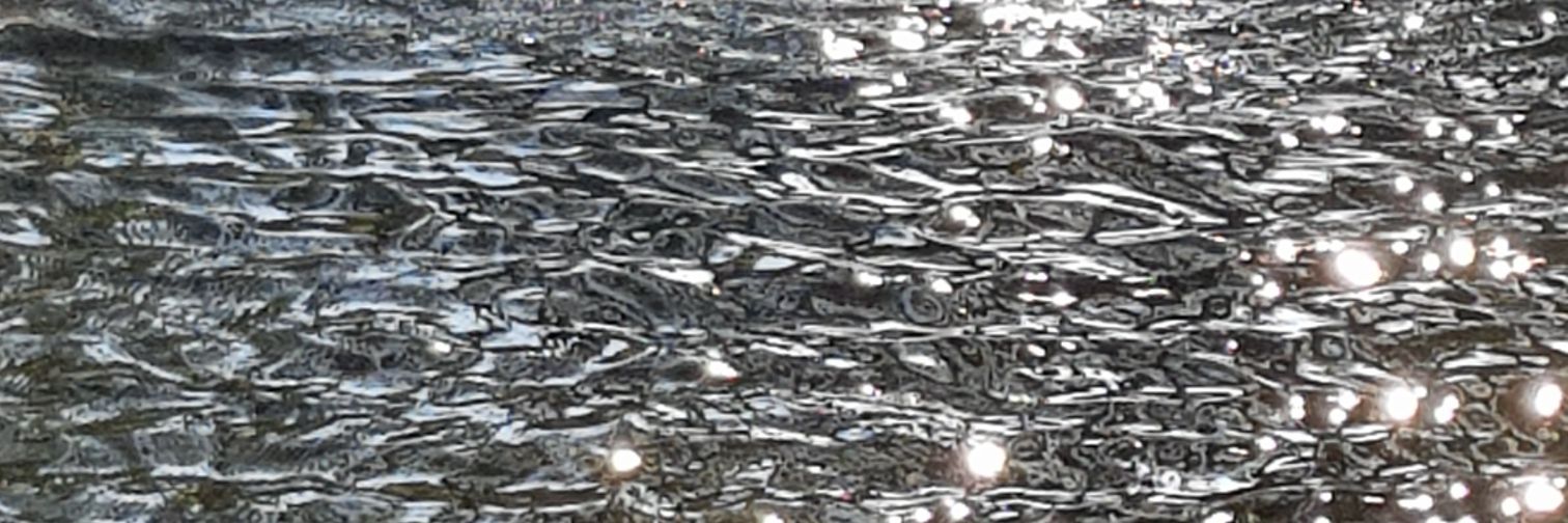 ChalardMehdi's profile banner image