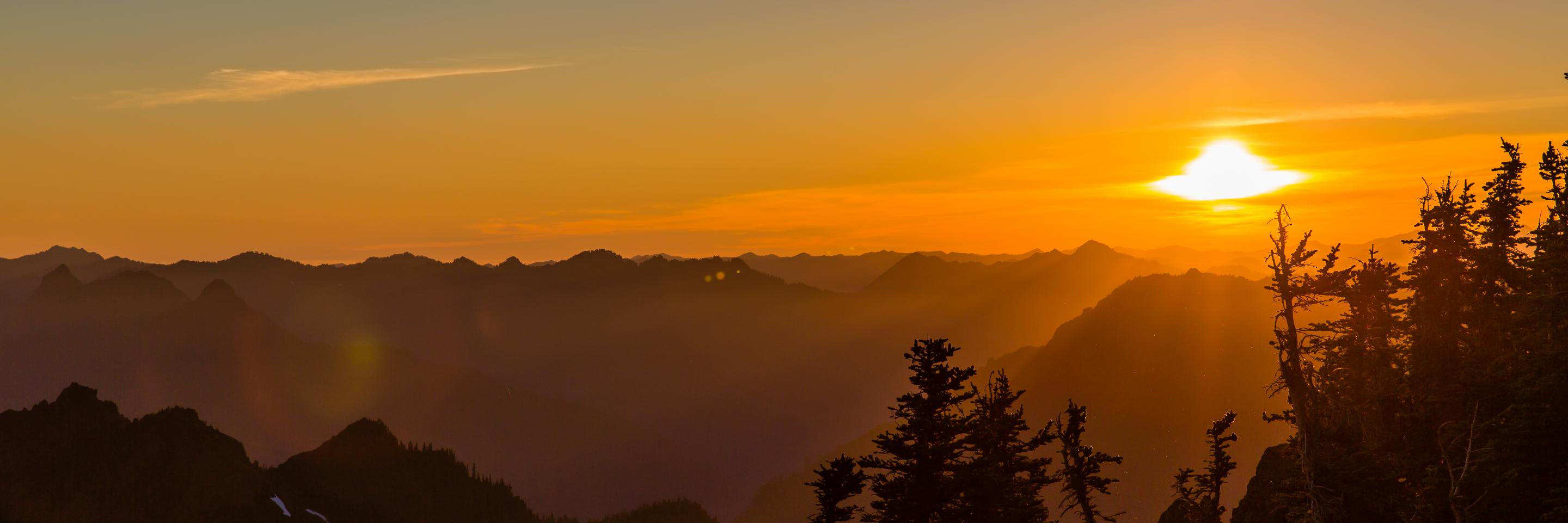 frd_glr's profile banner image