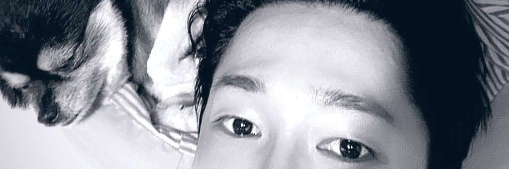 hakumaoon012's profile banner image