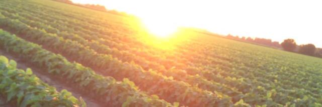 trm1491's profile banner image