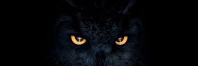 St8yfocused's profile banner image
