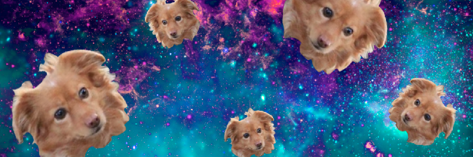 chickennchar's profile banner image