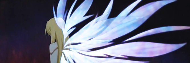 CecileSutcu's profile banner image