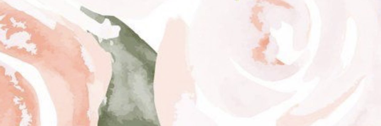 BaileyElbers's profile banner image