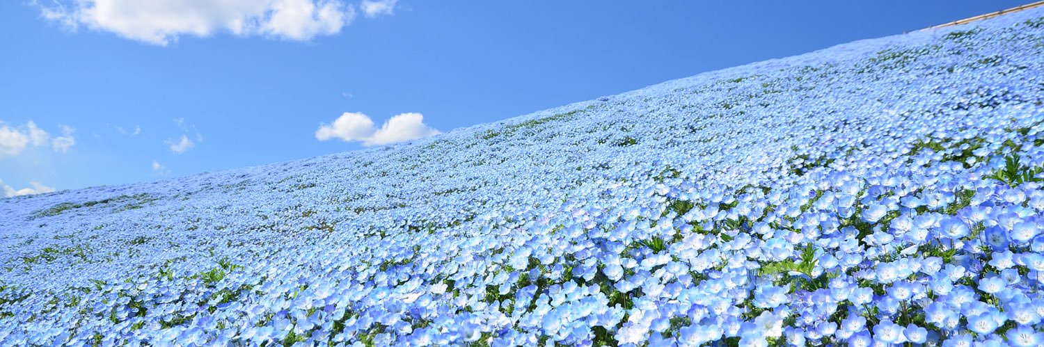 asmn38's profile banner image