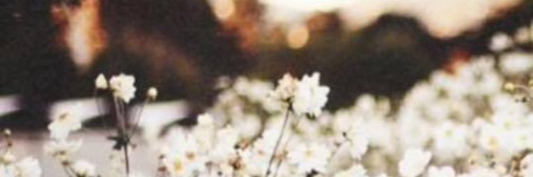 cmg621's profile banner image