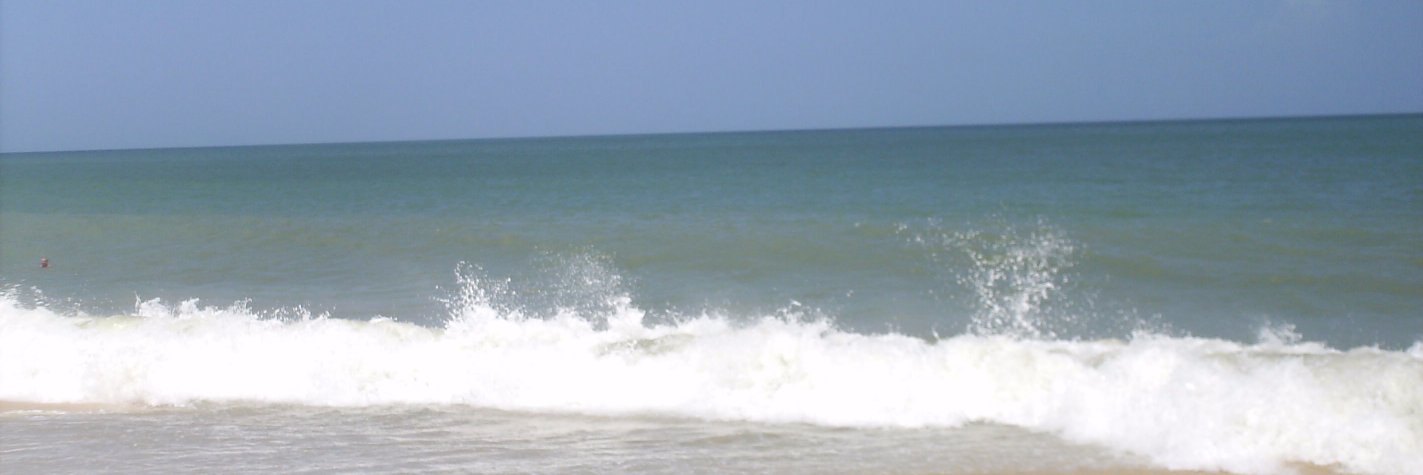 thaifalconvale's profile banner image