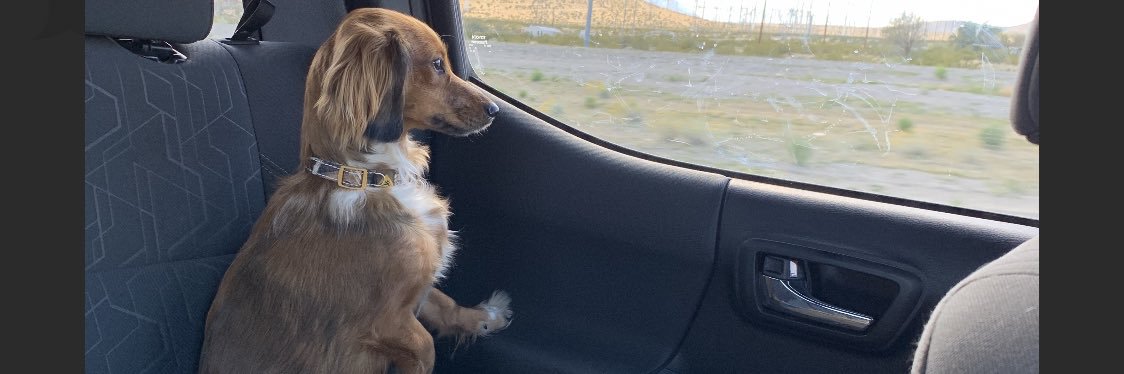 ChloeeSmithh's profile banner image